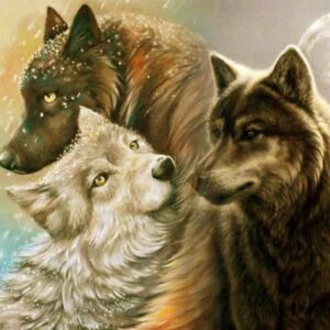 Diamond Painting 3 Wolven voorbeeldafbeelding van het volledige ontwerp