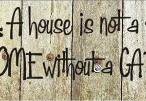Diamond Painting A House Is Not Home Without Cat voorbeeldafbeelding van het volledige ontwerp