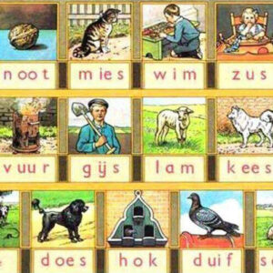 Diamond Painting Aap Noot Mies voorbeeldafbeelding van het volledige ontwerp