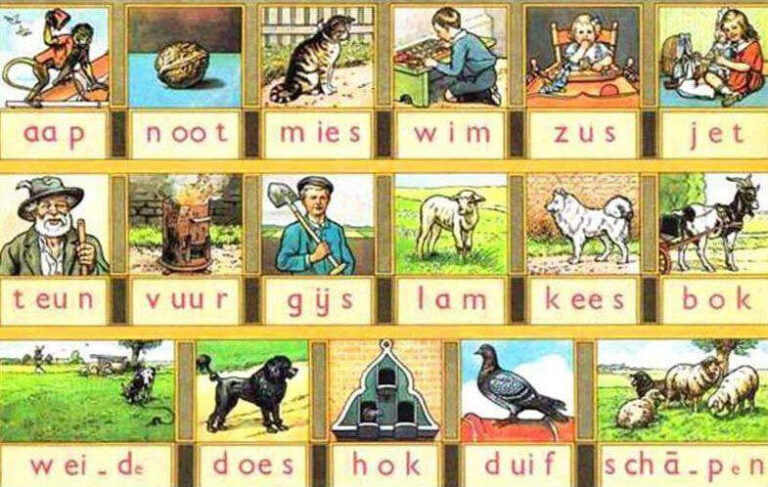 Diamond Painting Aap Noot Mies voorbeeldafbeelding van het volledige ontwerp
