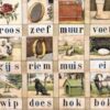 Diamond Painting Aap Roos Zeef voorbeeldafbeelding van het volledige ontwerp