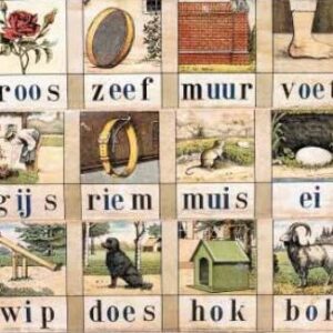 Diamond Painting Aap Roos Zeef voorbeeldafbeelding van het volledige ontwerp