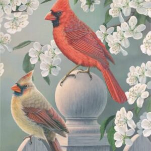 Diamond Painting Achtertuin Kardinaal Paar voorbeeldafbeelding van het volledige ontwerp