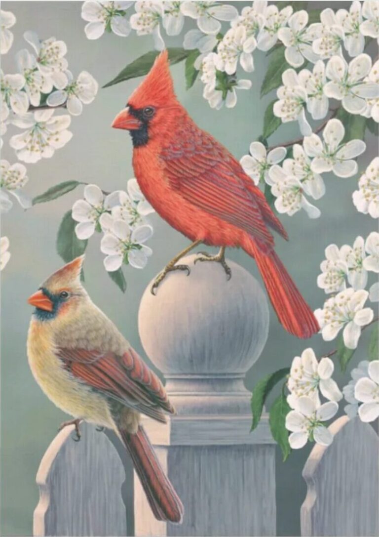 Diamond Painting Achtertuin Kardinaal Paar voorbeeldafbeelding van het volledige ontwerp