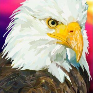 Diamond Painting Amerikaanse Zeearend Elvira Clement voorbeeldafbeelding van het volledige ontwerp