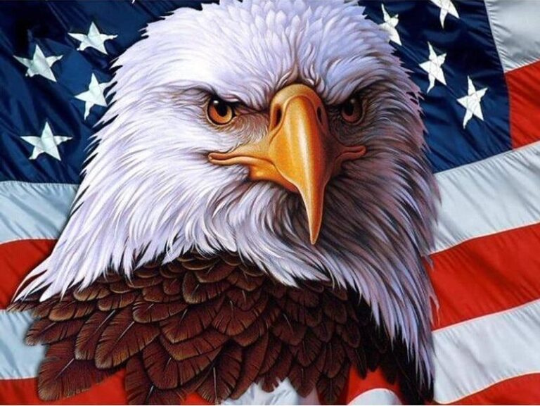 Diamond Painting Arend Amerikaanse Vlag voorbeeldafbeelding van het volledige ontwerp