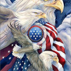 Diamond Painting Arend Amerikaanse Vlag Wit voorbeeldafbeelding van het volledige ontwerp