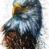 Diamond Painting Arend Verf voorbeeldafbeelding van het volledige ontwerp