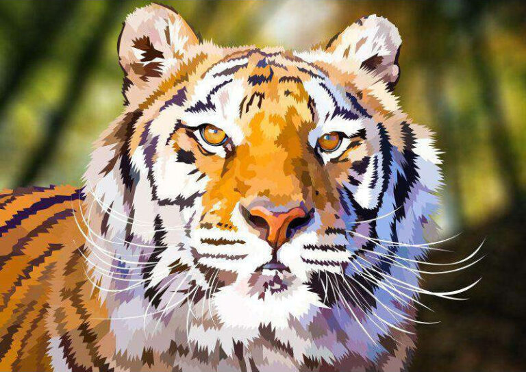Diamond Painting Bengaalse Tijger Elvira Clement voorbeeldafbeelding van het volledige ontwerp