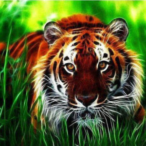 Diamond Painting Bengaalse Tijger In Het Gras voorbeeldafbeelding van het volledige ontwerp