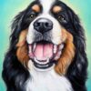 Diamond Painting Berner Sennenhond Blauw voorbeeldafbeelding van het volledige ontwerp