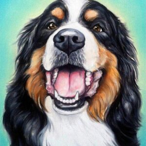 Diamond Painting Berner Sennenhond Blauw voorbeeldafbeelding van het volledige ontwerp