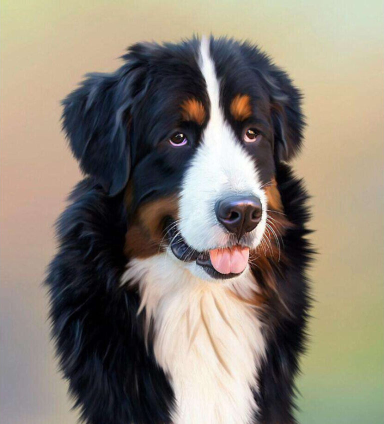 Diamond Painting Berner Senner voorbeeldafbeelding van het volledige ontwerp