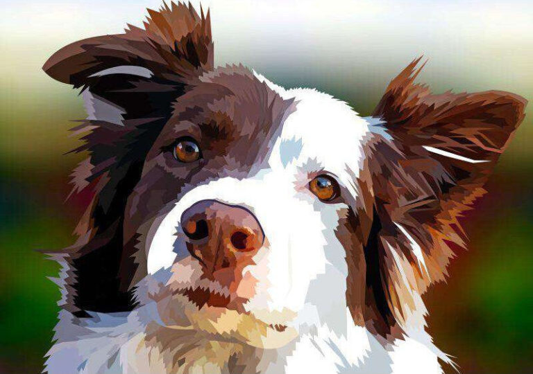 Diamond Painting Beste Vriend Elvira Clement voorbeeldafbeelding van het volledige ontwerp