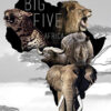 Diamond Painting Big Five voorbeeldafbeelding van het volledige ontwerp