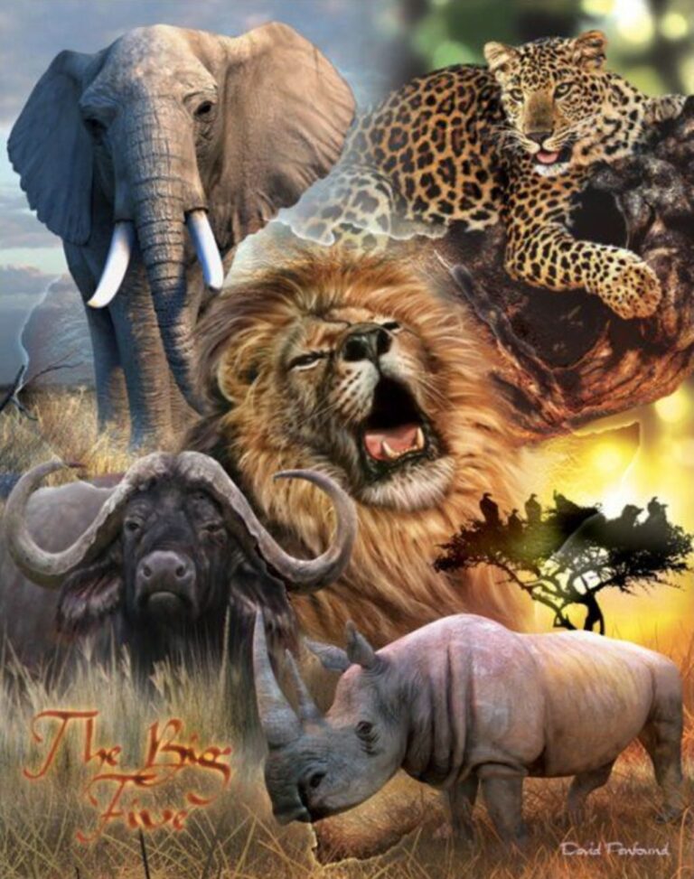 Diamond Painting Big Five Dieren voorbeeldafbeelding van het volledige ontwerp