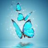 Diamond Painting Blauwe Vlinders Uit Het Water voorbeeldafbeelding van het volledige ontwerp