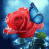 Diamond Painting Blauwe vlinder op roos voorbeeldafbeelding van het volledige ontwerp