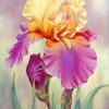 Diamond Painting Bloem voorbeeldafbeelding van het volledige ontwerp