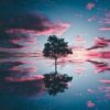 Diamond Painting Boom Reflectie Bij Zonsondergang voorbeeldafbeelding van het volledige ontwerp