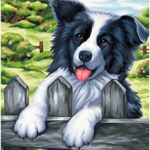 Diamond Painting Bordercollie voorbeeldafbeelding van het volledige ontwerp