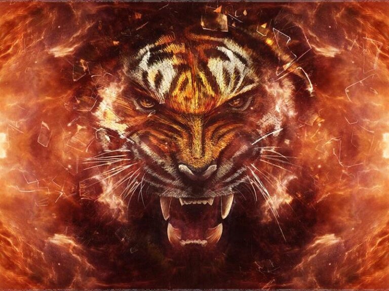 Diamond Painting Boze Tijger voorbeeldafbeelding van het volledige ontwerp