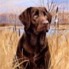 Diamond Painting Bruine Labrador voorbeeldafbeelding van het volledige ontwerp