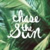 Diamond Painting Chase the Sun voorbeeldafbeelding van het volledige ontwerp