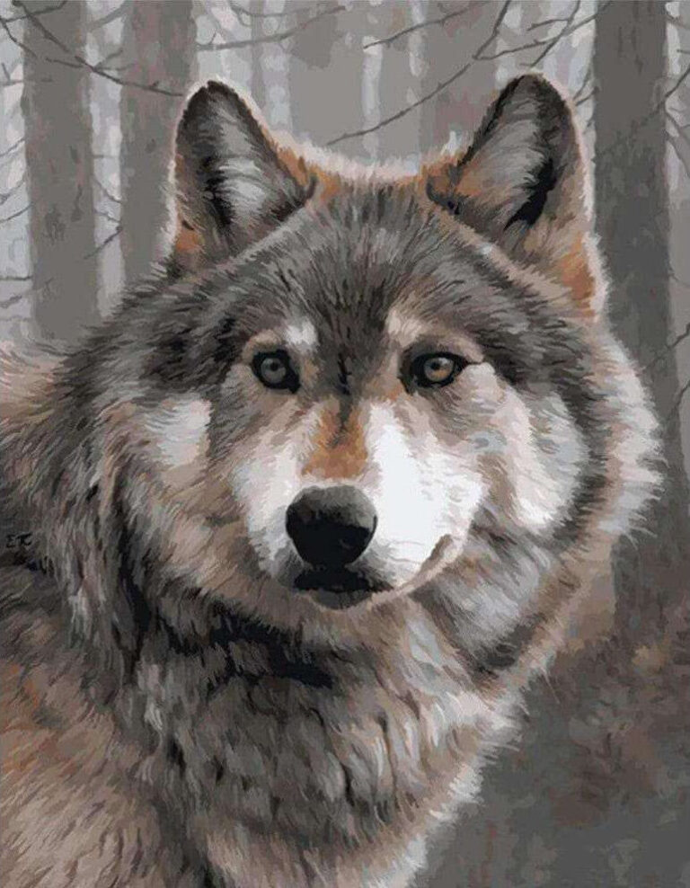 Diamond Painting De Grijze Wolf voorbeeldafbeelding van het volledige ontwerp