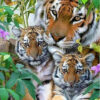 Diamond Painting De Tijger Familie voorbeeldafbeelding van het volledige ontwerp