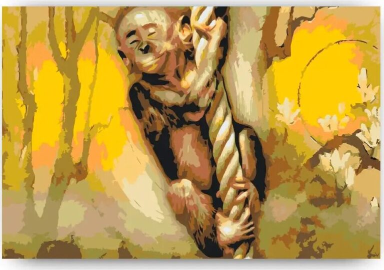 Diamond Painting Aap aan een touw voorbeeldafbeelding van het volledige ontwerp
