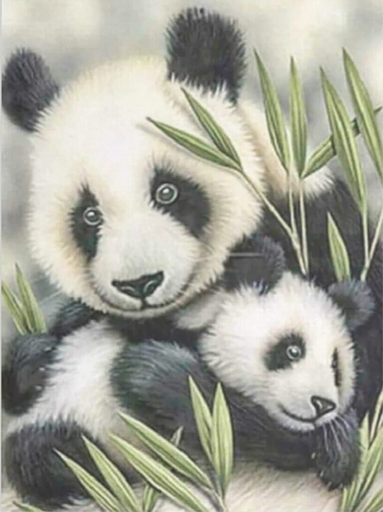 Diamond Painting Baby Panda voorbeeldafbeelding van het volledige ontwerp
