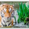 Diamond Painting Bengaalse tijger voorbeeldafbeelding van het volledige ontwerp