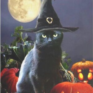 Diamond Painting De Zwarte Kater voorbeeldafbeelding van het volledige ontwerp