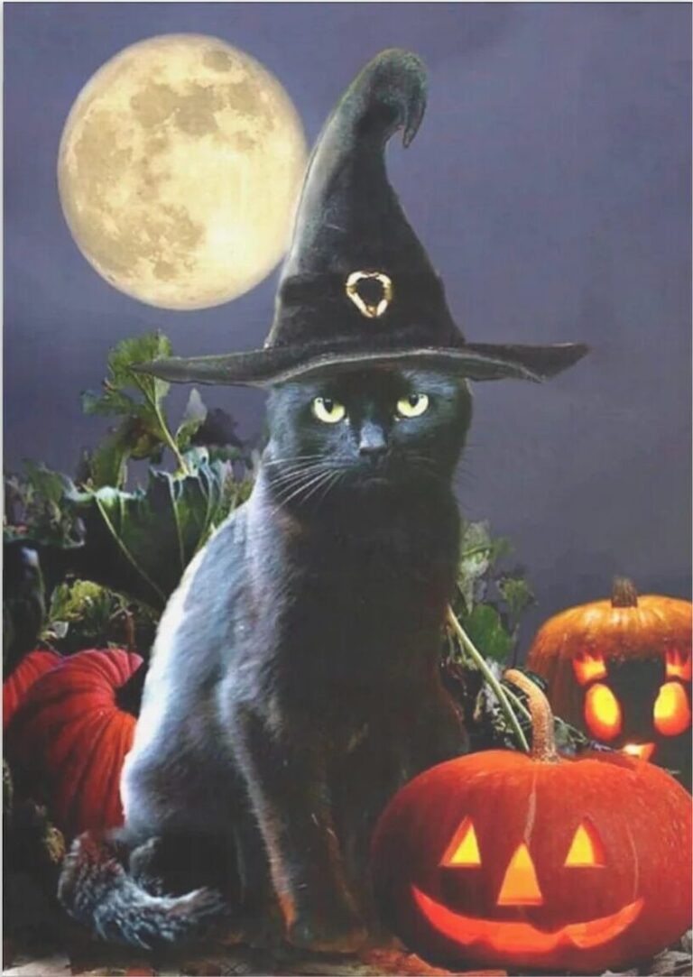 Diamond Painting De Zwarte Kater voorbeeldafbeelding van het volledige ontwerp