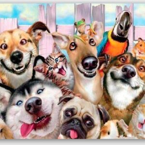 Diamond Painting Dieren Vrienden voorbeeldafbeelding van het volledige ontwerp