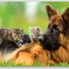 Diamond Painting Duitse herder met kittens voorbeeldafbeelding van het volledige ontwerp