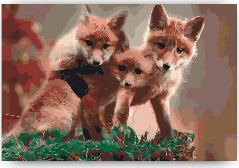 Diamond Painting Een vossenwelp voorbeeldafbeelding van het volledige ontwerp