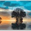Diamond Painting Eenzame boom voorbeeldafbeelding van het volledige ontwerp