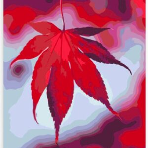 Diamond Painting Esdoornblad voorbeeldafbeelding van het volledige ontwerp