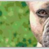 Diamond Painting Franse Bulldog voorbeeldafbeelding van het volledige ontwerp