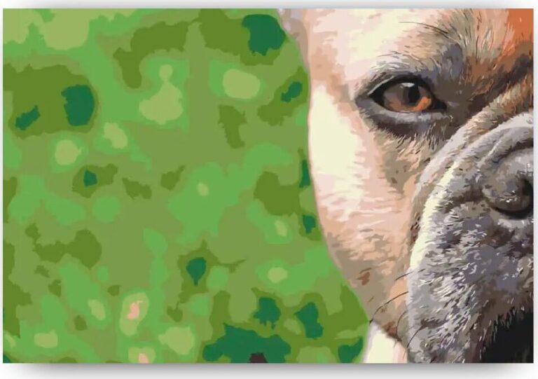 Diamond Painting Franse Bulldog voorbeeldafbeelding van het volledige ontwerp
