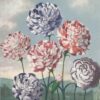 Diamond Painting Groep Anjers voorbeeldafbeelding van het volledige ontwerp