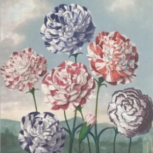 Diamond Painting Groep Anjers voorbeeldafbeelding van het volledige ontwerp