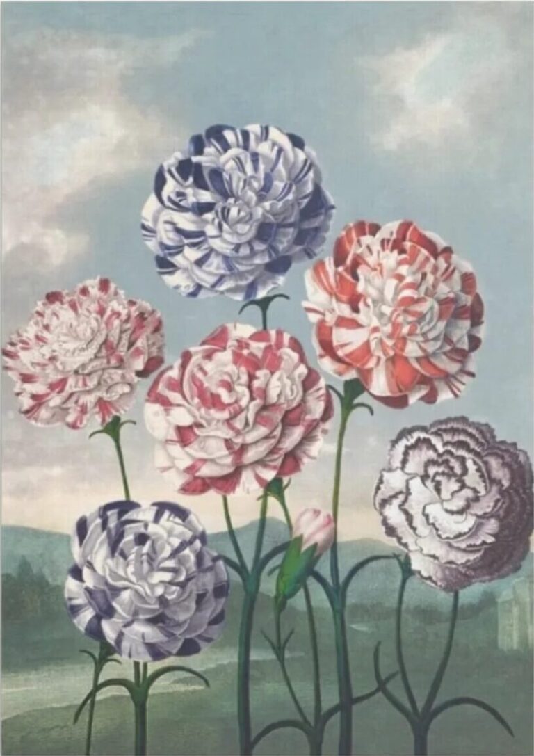 Diamond Painting Groep Anjers voorbeeldafbeelding van het volledige ontwerp
