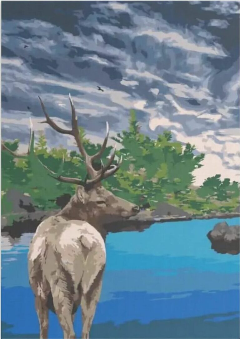 Diamond Painting Jelen u jezera voorbeeldafbeelding van het volledige ontwerp