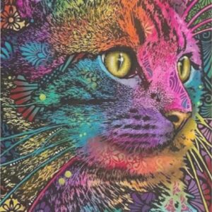 Diamond Painting Kleurrijke Kat voorbeeldafbeelding van het volledige ontwerp