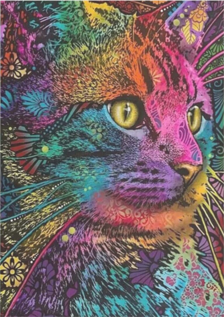 Diamond Painting Kleurrijke Kat voorbeeldafbeelding van het volledige ontwerp