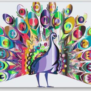 Diamond Painting Kleurrijke pauw voorbeeldafbeelding van het volledige ontwerp