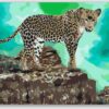 Diamond Painting Luipaard op de loer voor prooi voorbeeldafbeelding van het volledige ontwerp